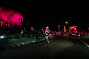 BIB: 
                            <button type="button" onclick="openModal(26552516)" class="btn btn-primary btn-sm float-right btn-popup" data-toggle="modal" data-target=".modal-high-quality">
                        <i class="fas fa-shopping-cart"></i> Add to Cart
                    </button>
                                            <button type="button" onclick="isThisMe(26552516, true)" class="btn btn-success btn-sm float-right btn-popup btn-isme hidden" data-toggle="tooltip" data-placement="bottom" title="นี่คือรูปของคุณใช่ไหม คลิกที่นี่เพื่อเอาเข้าอัลบั้ม">
                        <i class="fas fa-plus"></i> Add to album
                    </button>
                    <button type="button" onclick="isThisMe(26552516, false)" class="btn btn-warning btn-sm float-right btn-popup btn-isnotme hidden">
                        <i class="fas fa-ban"></i> Remove from album
                    </button>